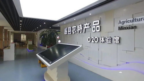 技術(shù)驅(qū)動(dòng)發(fā)展 岷縣電子商務(wù)銷售額突破2.99億元背后的軟硬件技術(shù)咨詢力量