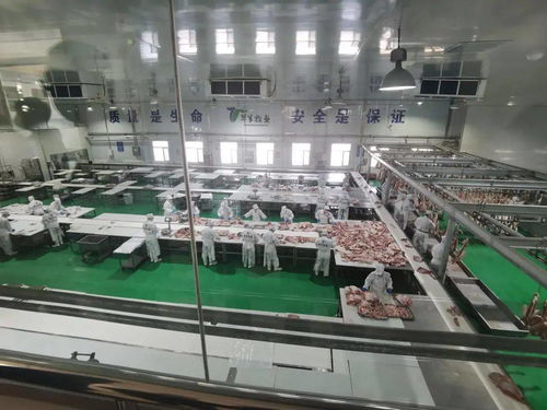 電子商務(wù)進(jìn)牧區(qū)，郵政企業(yè)有話說